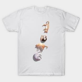 Cute kitties taking a nap T-Shirt